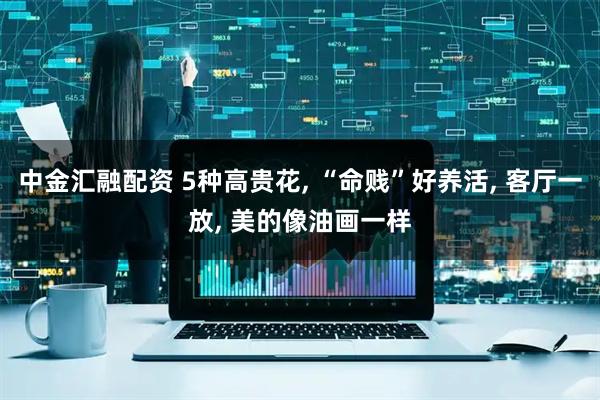 中金汇融配资 5种高贵花, “命贱”好养活, 客厅一放, 美的像油画一样