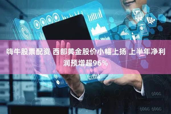 嗨牛股票配资 西部黄金股价小幅上扬 上半年净利润预增超96%